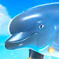 Символ игрового автомата Dolphin Cash 