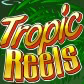 Символ игрового автомата Tropic Reels