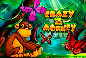 Игровой автомат Crazy Monkey 2 играть бесплатно Игровой автомат Crazy Monkey 2 играть бесплатно