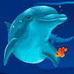 Символ игрового автомата Dolphin Quest