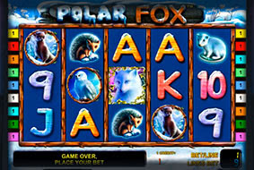 Игровой автомат Polar Fox играть бесплатно Игровой автомат Polar Fox играть бесплатно