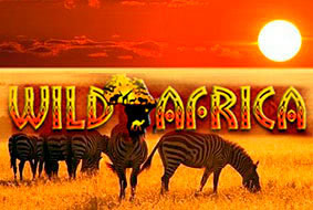 Игровой автомат Wild Africa играть бесплатно Игровой автомат Wild Africa играть бесплатно