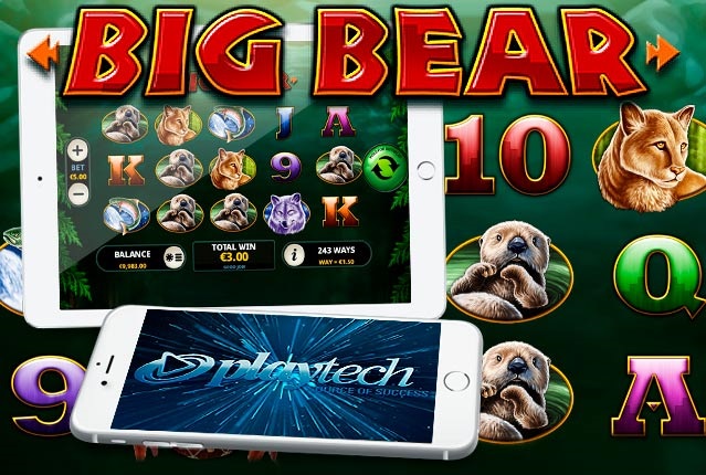 Слот Big Bear от Playtech