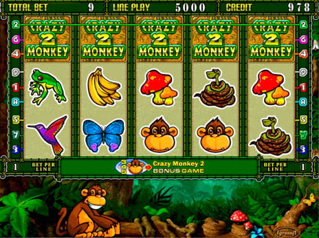 Игровые автоматы Crazy monkey 2 максимальная выигрышная комбинация