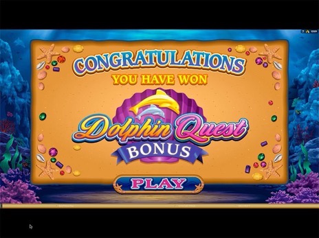 Игровые автоматы Dolphin Quest начало бонус игры