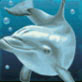 Символ игрового автомата Dolphin's Pearl