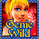 Символ игрового автомата Genie Wild