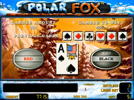 Бесплатный автомат Polar Fox риск игра