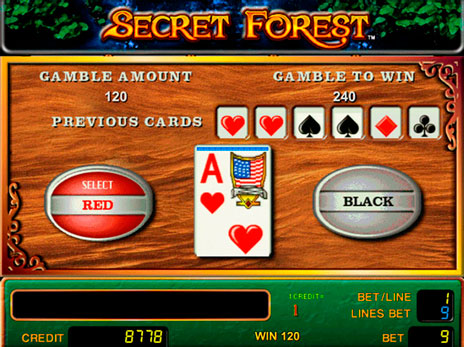 Онлайн слоты Secret Forest риск игра