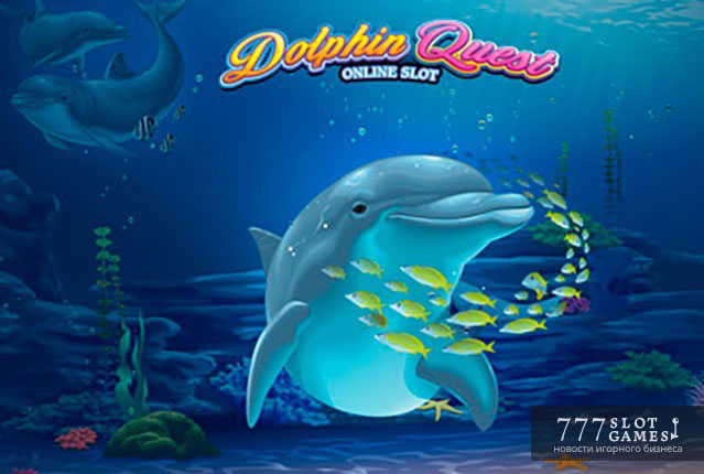 Dolphin Quest от Microgaming – приключения дельфина на игровом автомате