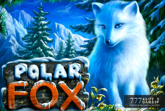 Polar Fox – игровой автомат про полярных зверей