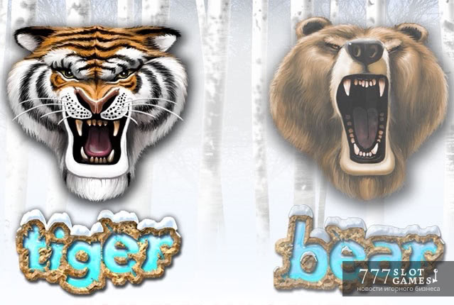 Tiger vs Bear - битва Тигра и Медведя на игровом автомате