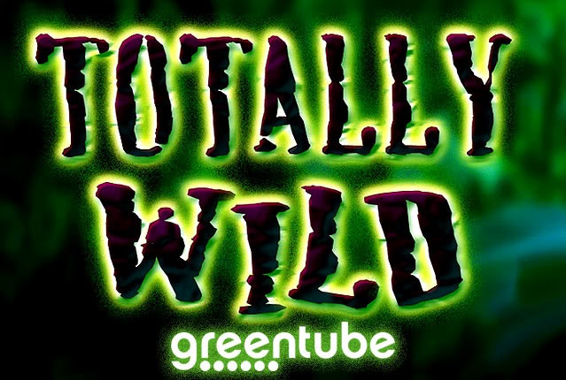 Слоты от Novomatic