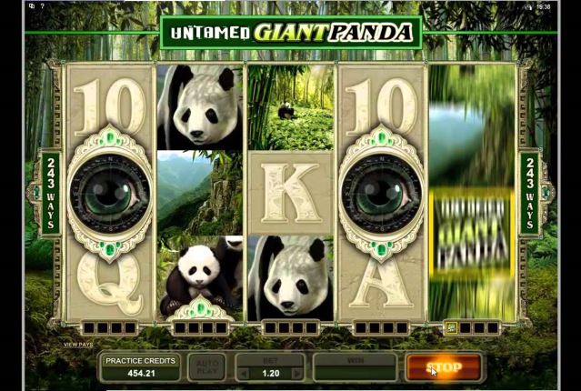 Игровой автомат Untamed Giant Panda от Microgaming.