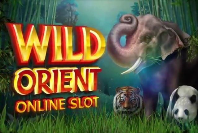 Игровой автомат Wild Orient от Microgaming.